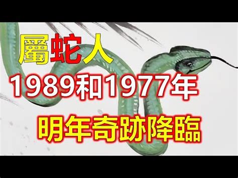 1989 蛇|1989年生肖全面解析：属蛇者的性格、运势与时代风采